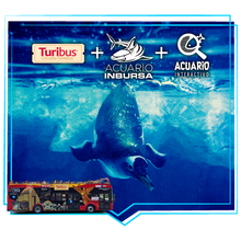 Cargar imagen en el visor de la galería, Turibus + Acuario Inbursa + Acuario Interactivo