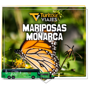 Turitour Viajes Mariposa Monarca & Valle de Bravo