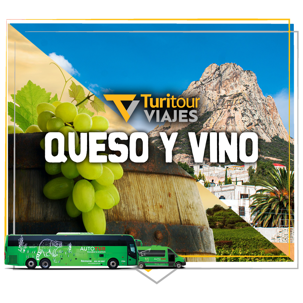 Turitour Viajes Queso y Vino