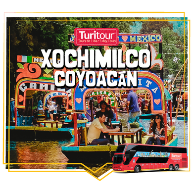 Xochimilco, Coyoacan and Aztec Stadium Tour