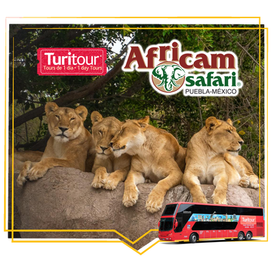 Turitour Africam Safari