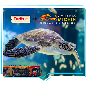 Turibus + Acuario Michin