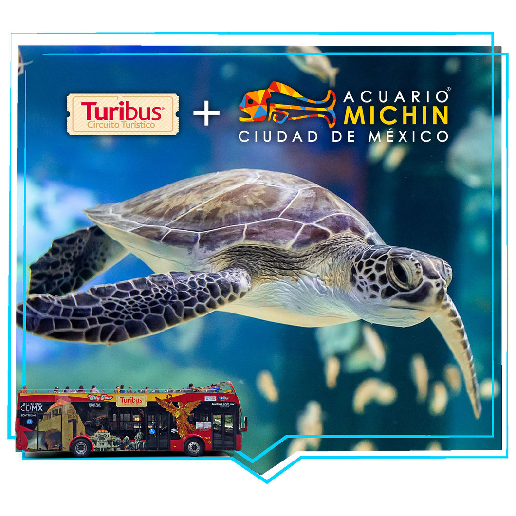 Turibus + Acuario Michin