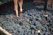 Cargar imagen en el visor de la galería, Turitour Queso y Vino