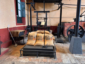 Turitour Sierra del Café