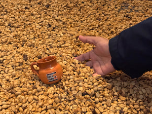 Turitour Sierra del Café