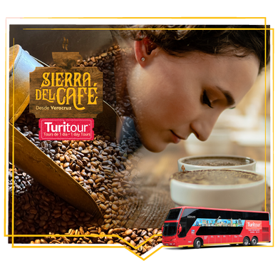 Turitour Sierra del Café