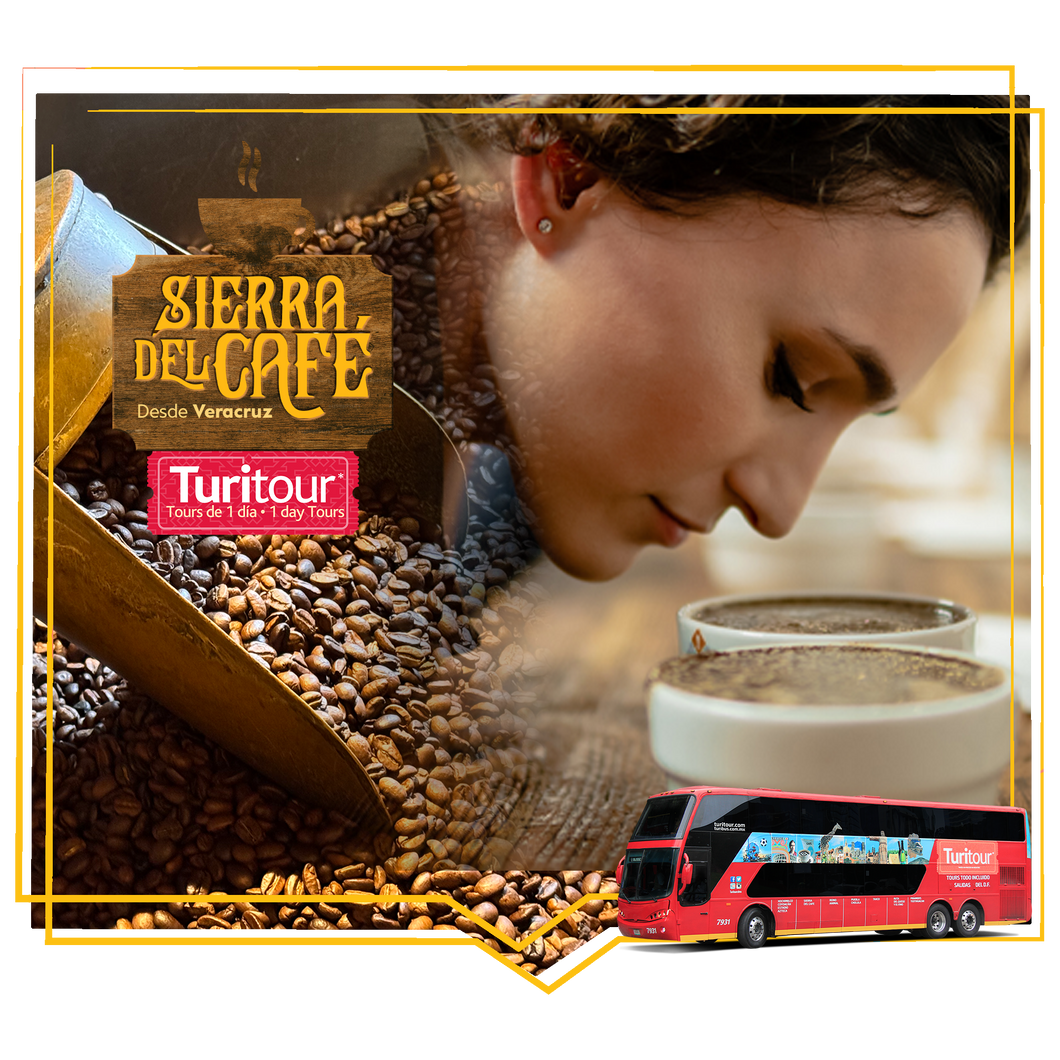 Turitour Sierra del Café