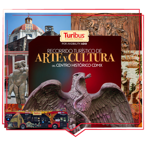 Turibus Arte y Cultura