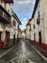 Cargar imagen en el visor de la galería, Turitour Taxco