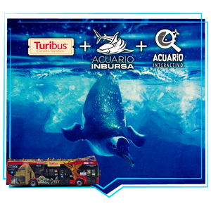 Turibus + Acuario Inbursa + Acuario Interactivo