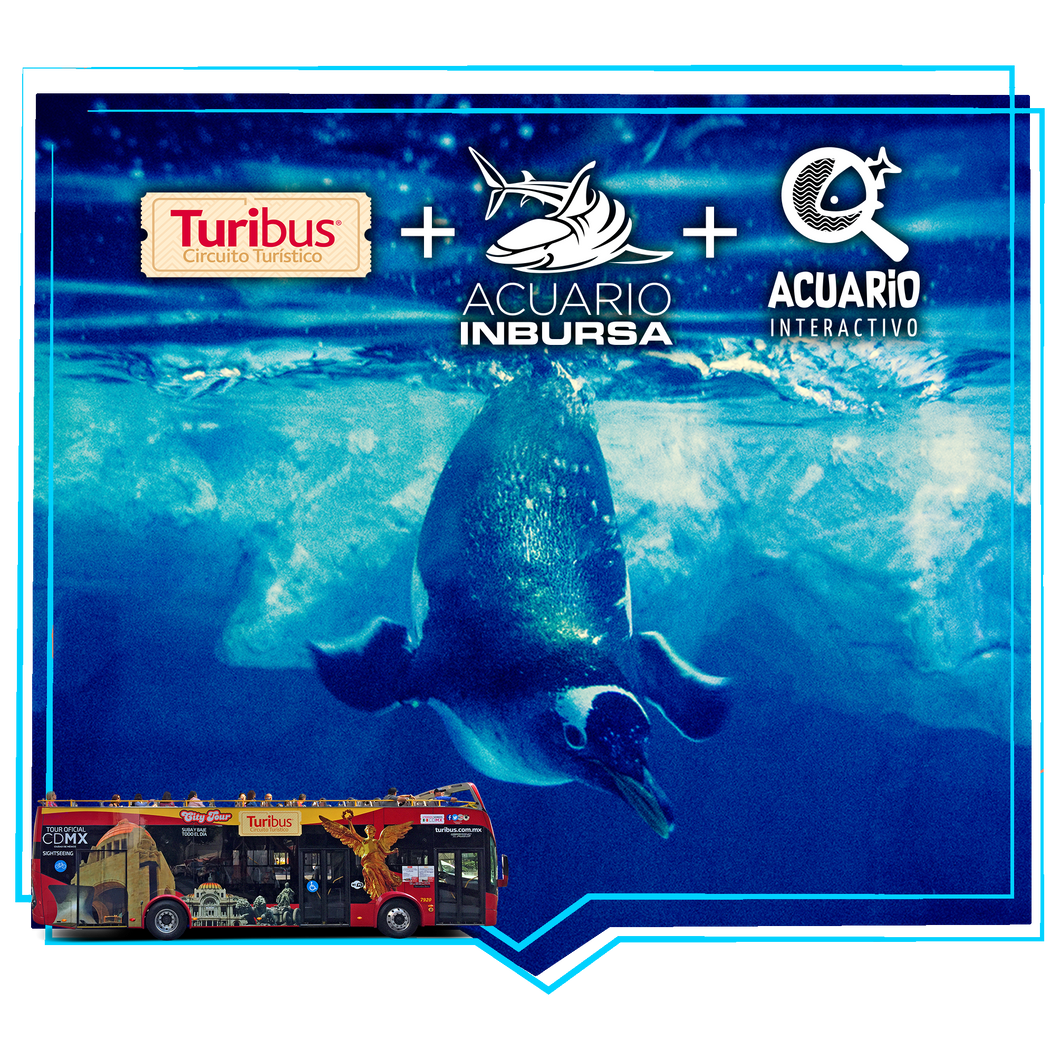 Turibus + Acuario Inbursa + Acuario Interactivo