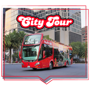 Turibus City Tour