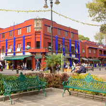 Cargar imagen en el visor de la galería, Turitour Xochimilco
