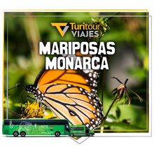 Cargar imagen en el visor de la galería, Turitour Viajes Mariposa Monarca &amp; Valle de Bravo