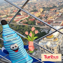 Cargar imagen en el visor de la galería, Turibus + Mirador Torre Latino